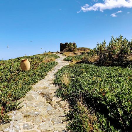 Isla Privada En Cadaques De Ensueno Con 11 Habitaciones Dobles Con Bano Privado Y Piscina 외부 사진