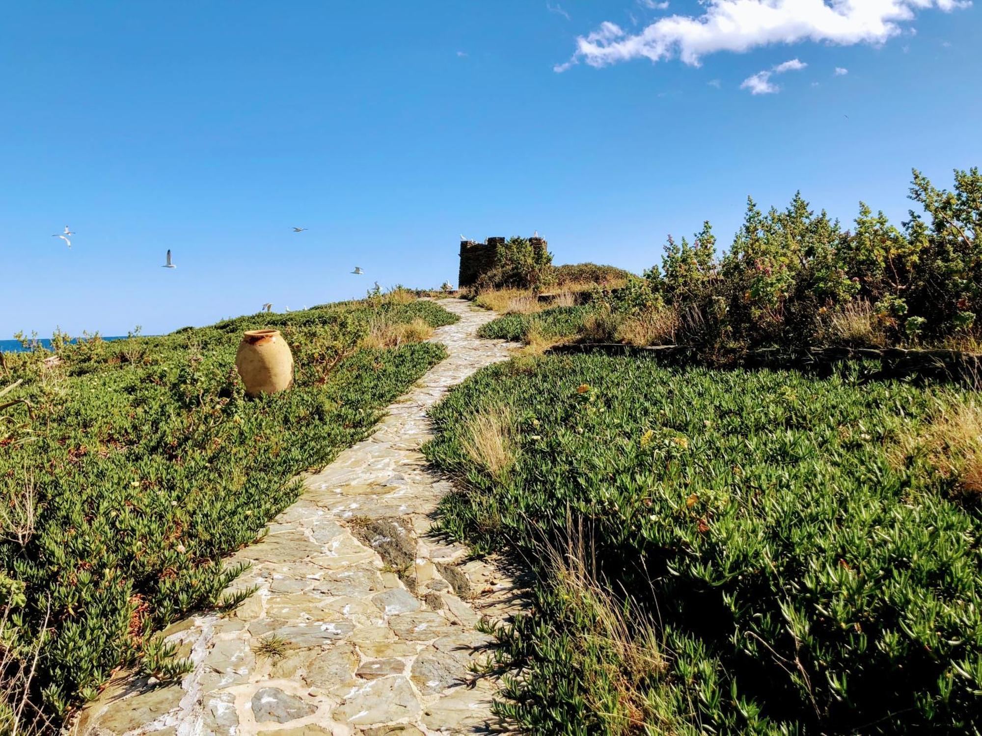 Isla Privada En Cadaques De Ensueno Con 11 Habitaciones Dobles Con Bano Privado Y Piscina 외부 사진
